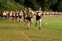 Mid Week Road Running League St Albans 2013